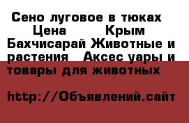 Сено луговое в тюках › Цена ­ 70 - Крым, Бахчисарай Животные и растения » Аксесcуары и товары для животных   